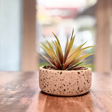 Baltischer Hof 11 Apartment Boltenhagen