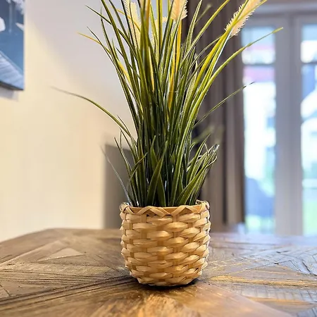 Baltischer Hof 11 Apartment