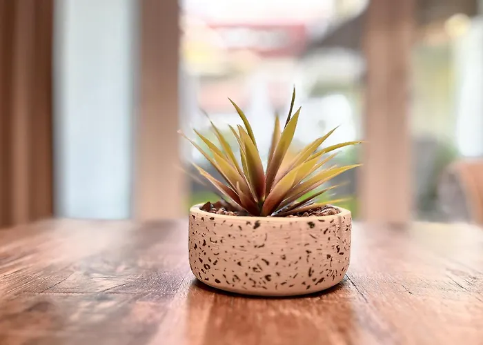 Baltischer Hof 11 Apartman Boltenhagen